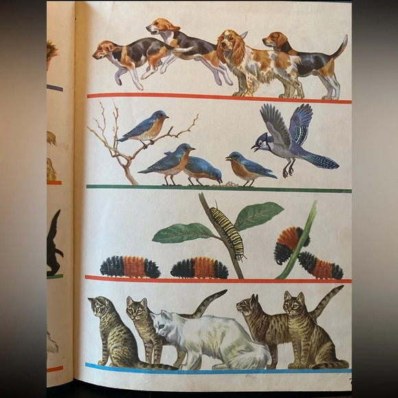 VINTAGE 1943 Look and Learn by Scott Foresman & Co Children’s Book - Picture 9 of 13